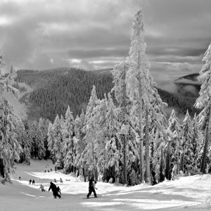 Alpine | British Columbia